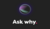Why Media Breaks Ground as the First Marketing Agency in Europe to Deliver Custom AI Solutions